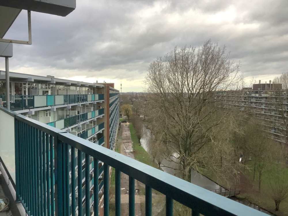 Nicolaas Beetsstraat 436