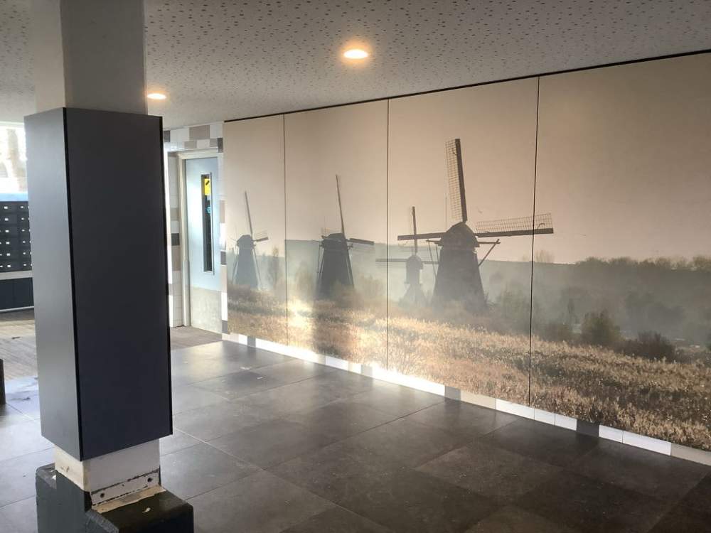 Nicolaas Beetsstraat 436