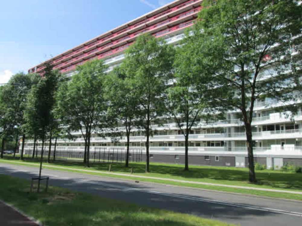 Perim 89, 1503 GB Zaandam, Nederland