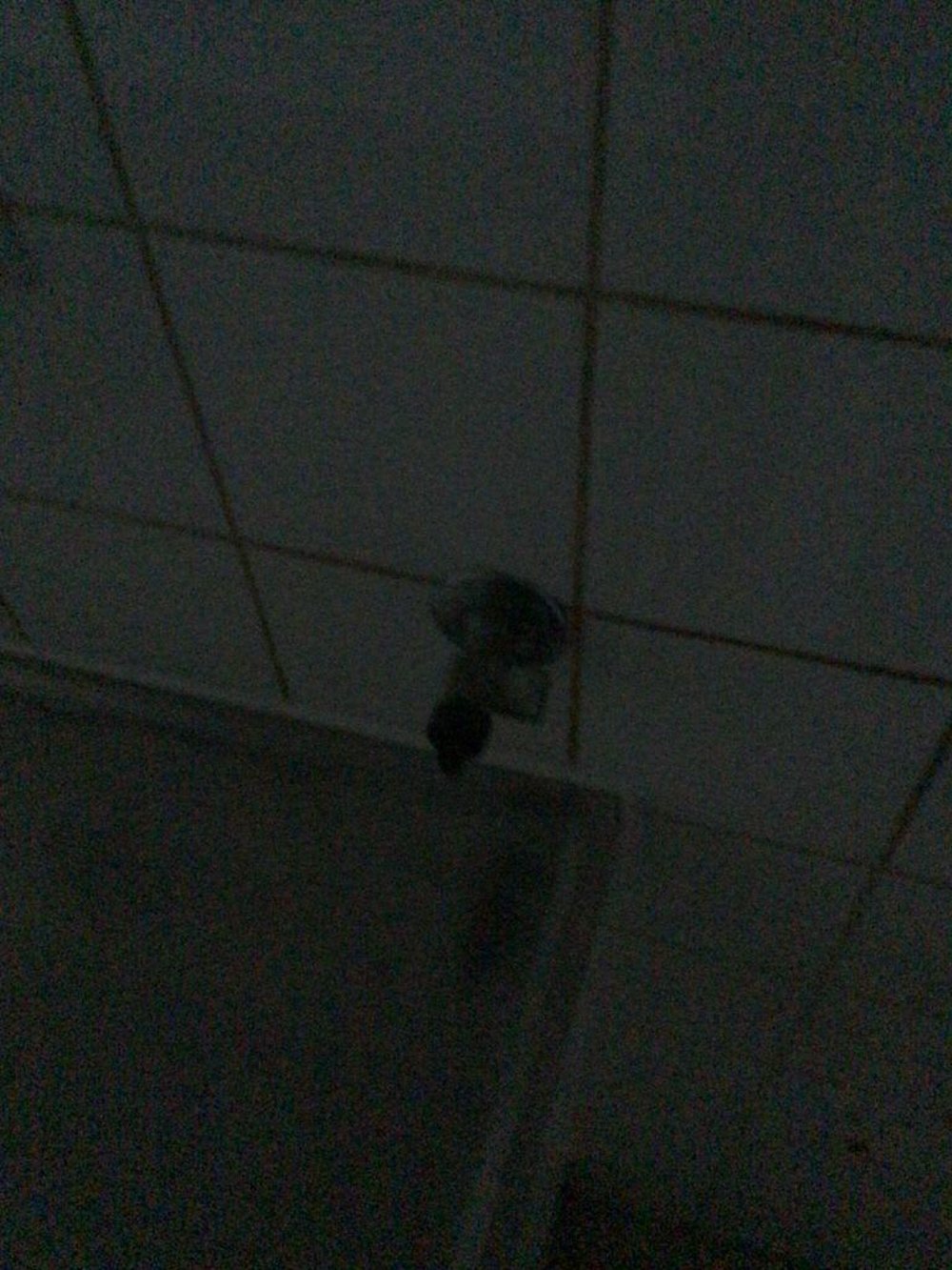 Van Heijningenstraat 21