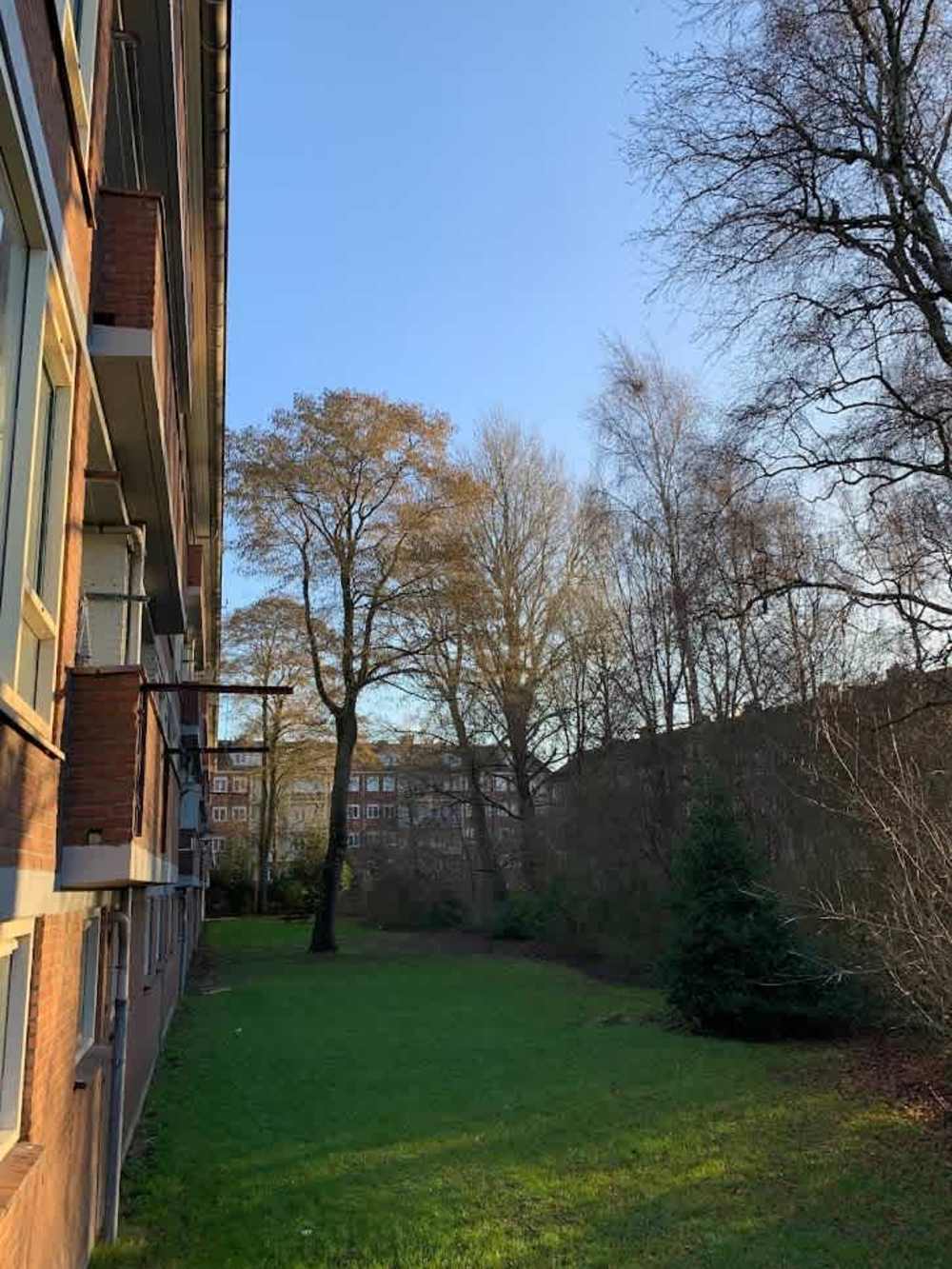 Lijns Tewisz Roggeplein 78