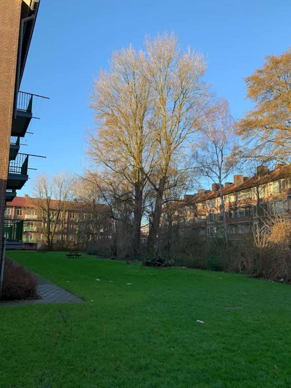 Lijns Tewisz Roggeplein 78