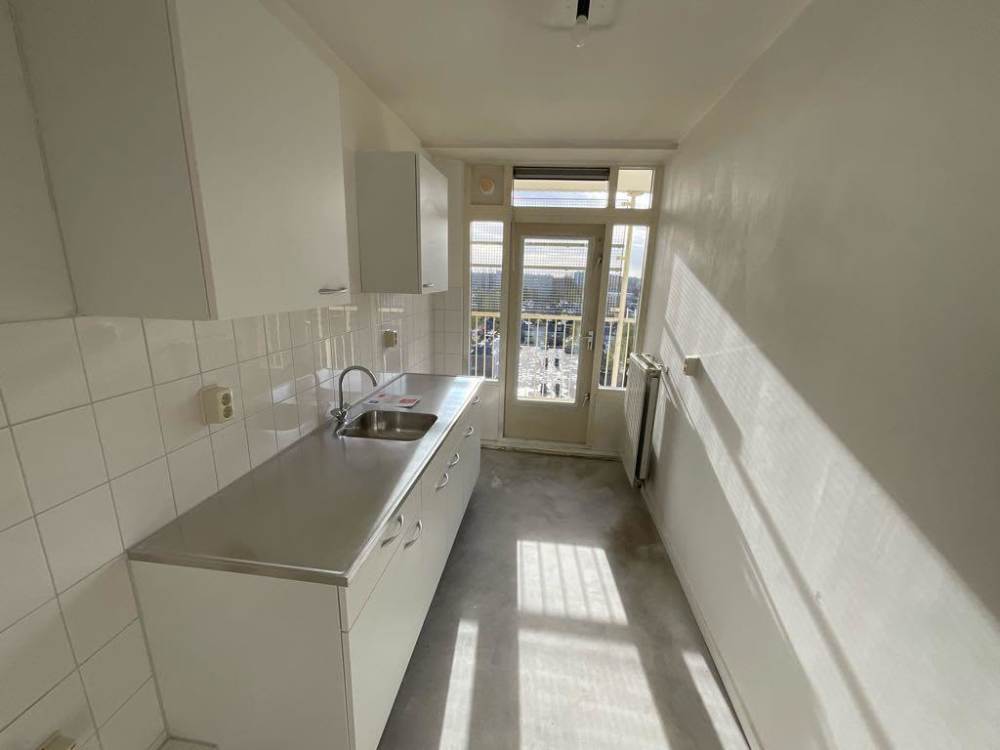 Den Bloeyenden Wijngaerdt 201