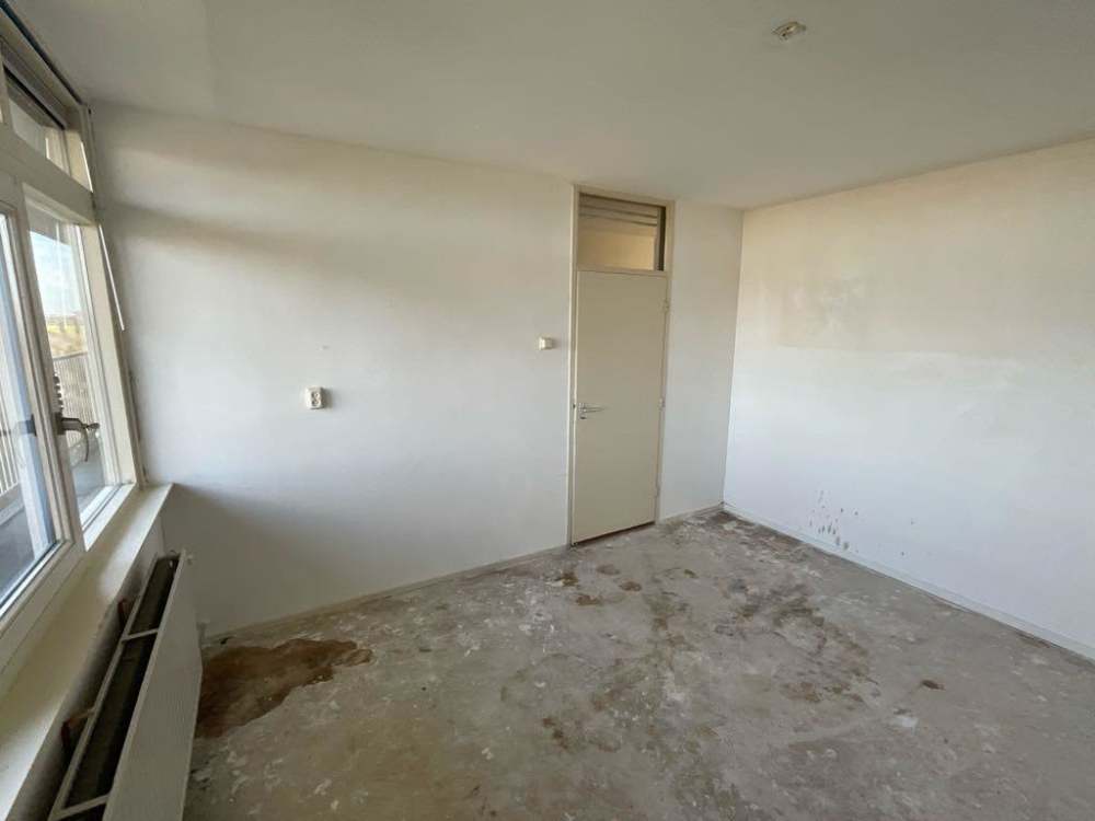 Den Bloeyenden Wijngaerdt 201