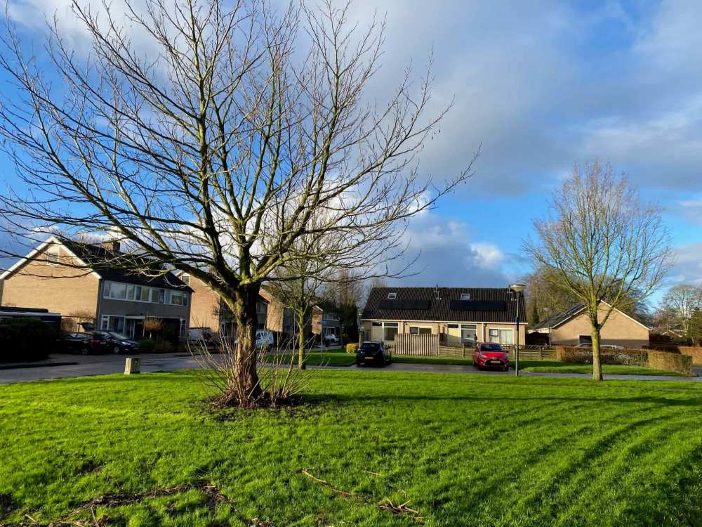 Dokter Posthumuslaan 11