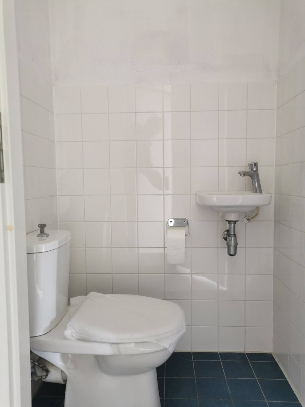 Biesheuvelstraat 219