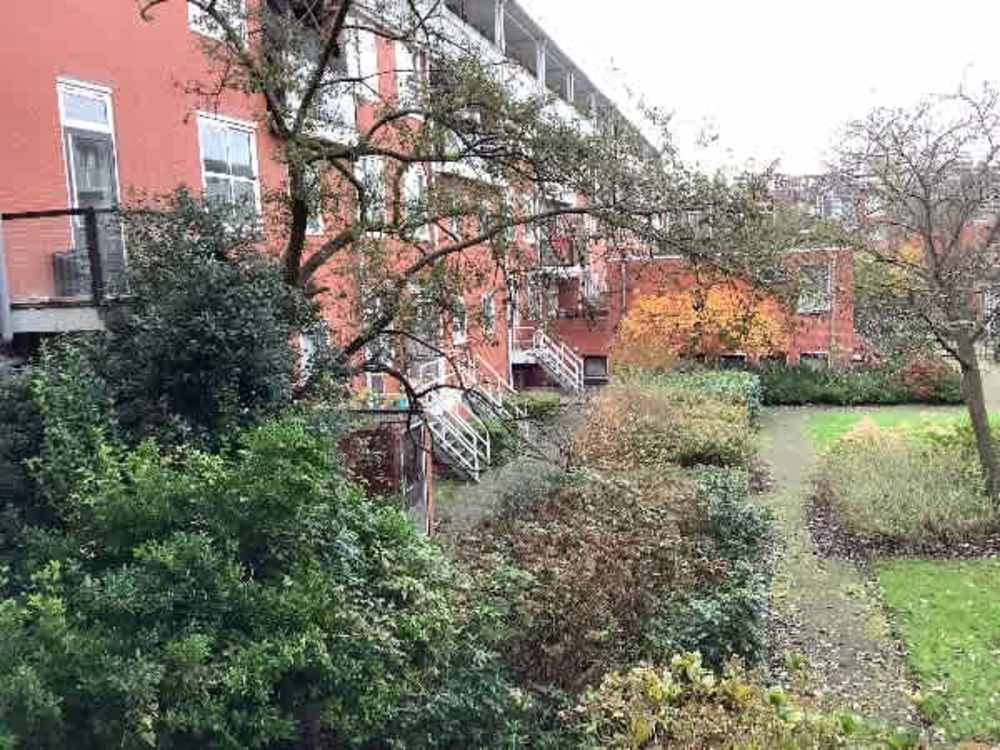 Nicolaas Beetsstraat 263