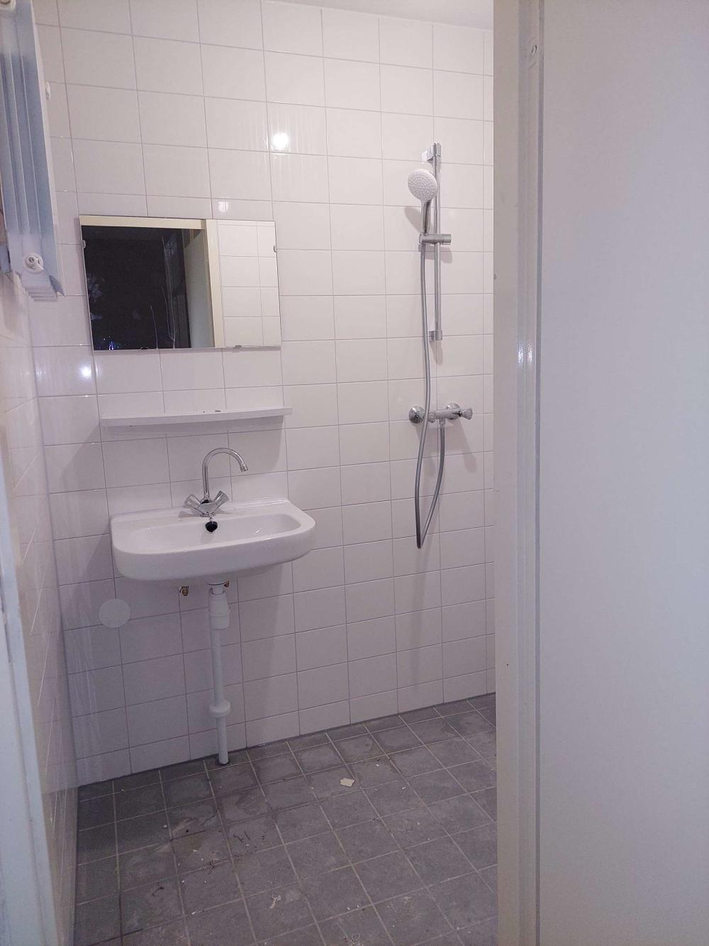 Haarlemmer Houttuinen 529