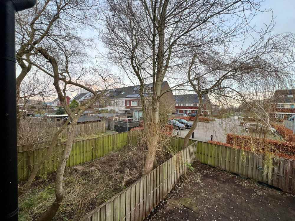 Knollendammerstraat 114