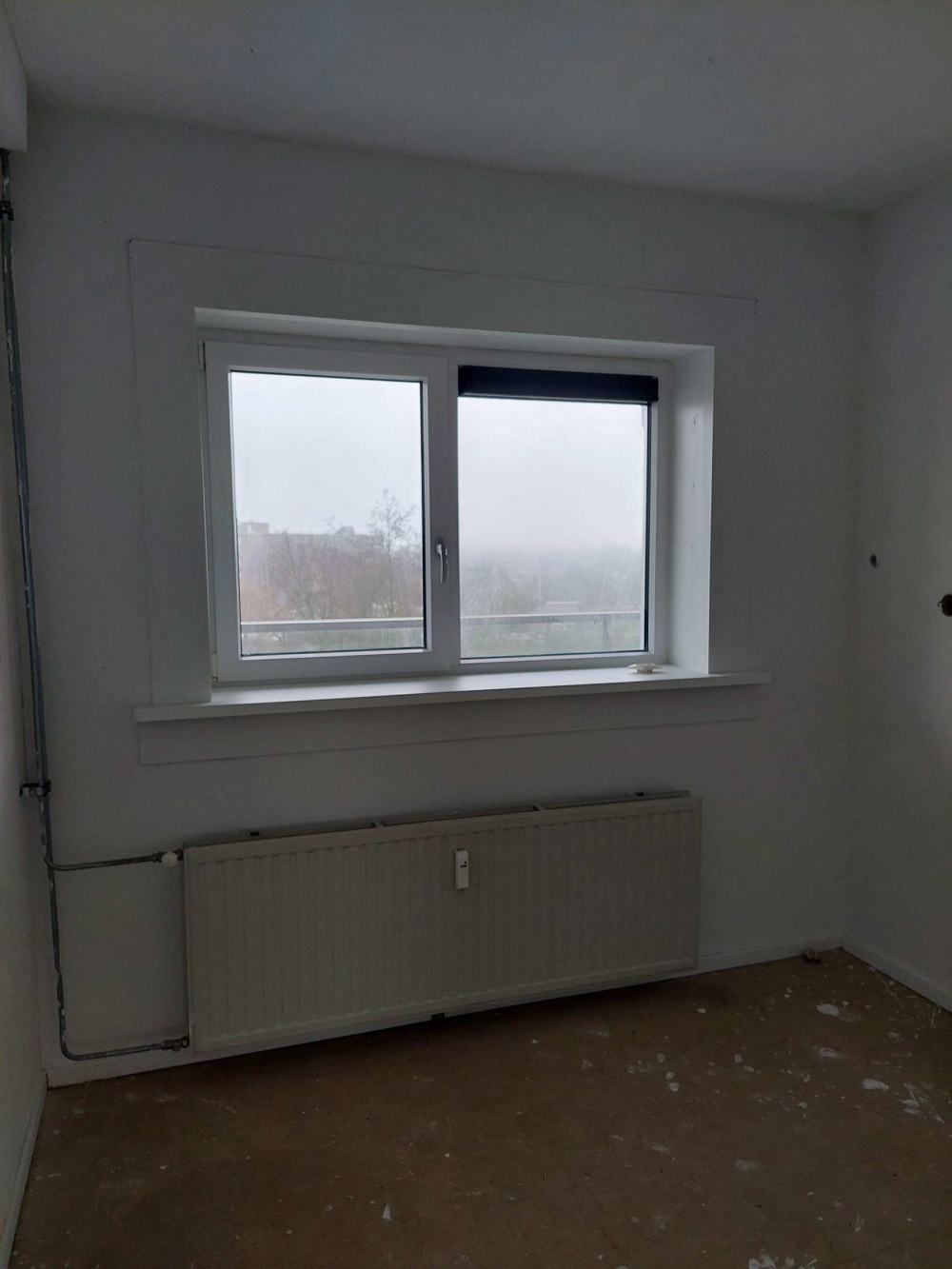 Graan voor Visch 13751