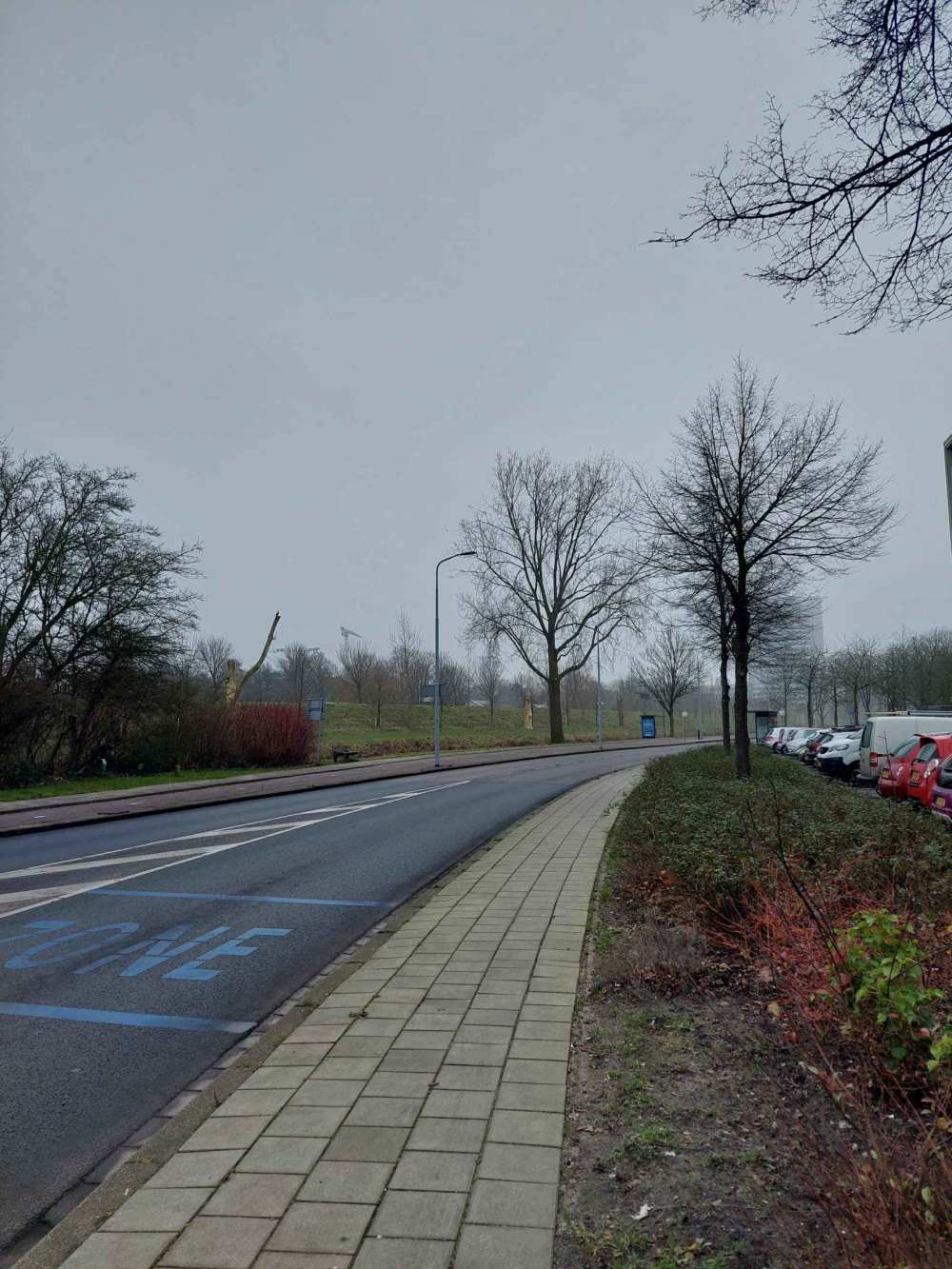 Graan voor Visch 13751