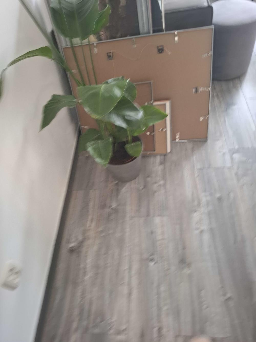 Albert Cuypstraat 104