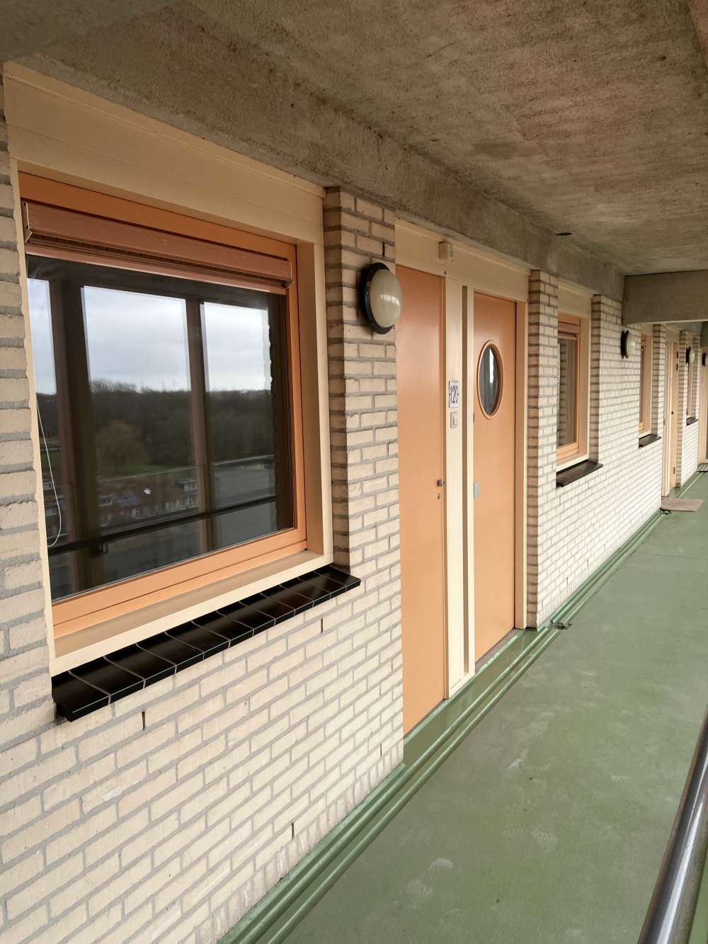 Cornelis Outshoornstraat 120