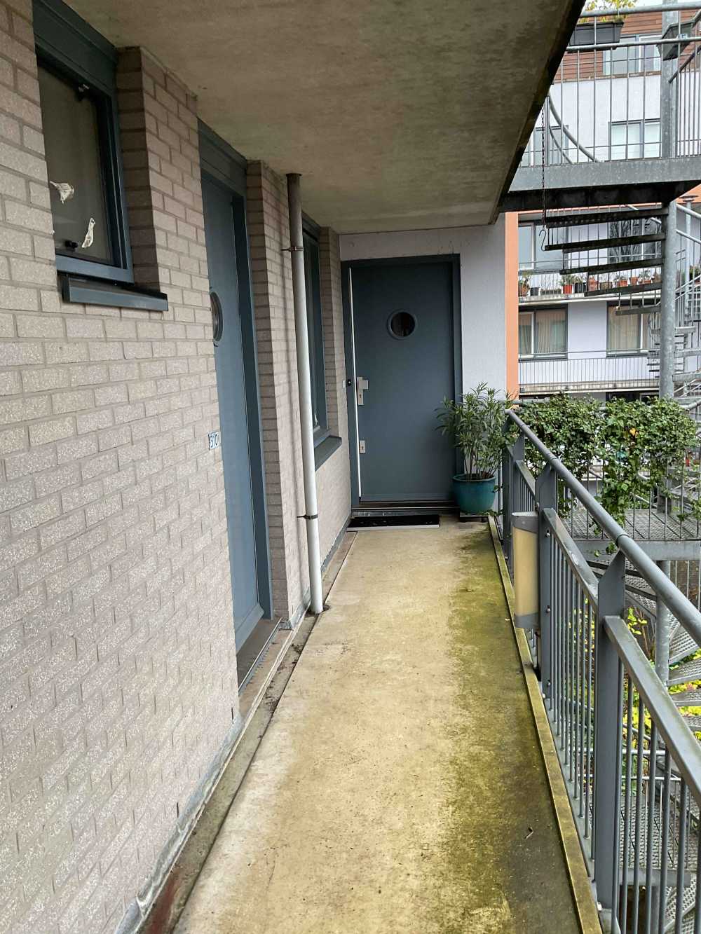 Rapenburgerstraat 310