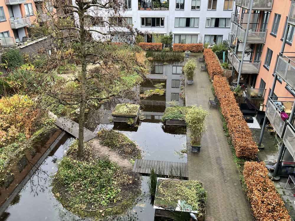 Rapenburgerstraat 310