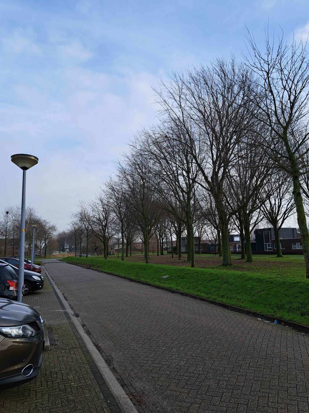 Kurt Schwittersplantsoen 59