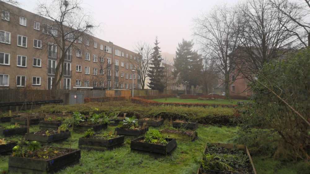 Van Linschotenlaan 182