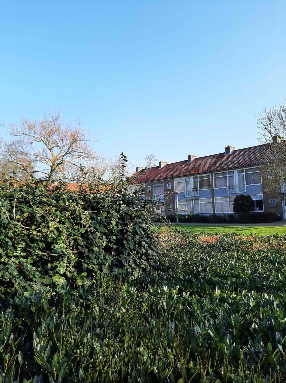 A.M. de Jongstraat 2