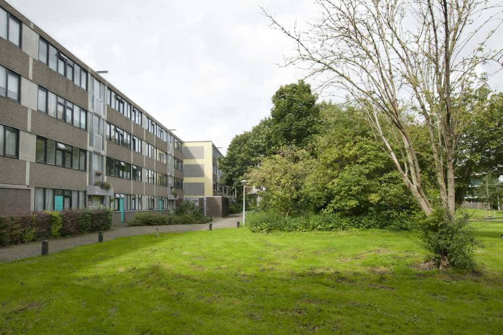 Spinakerhof 94, 1034 MP Amsterdam, Nederland