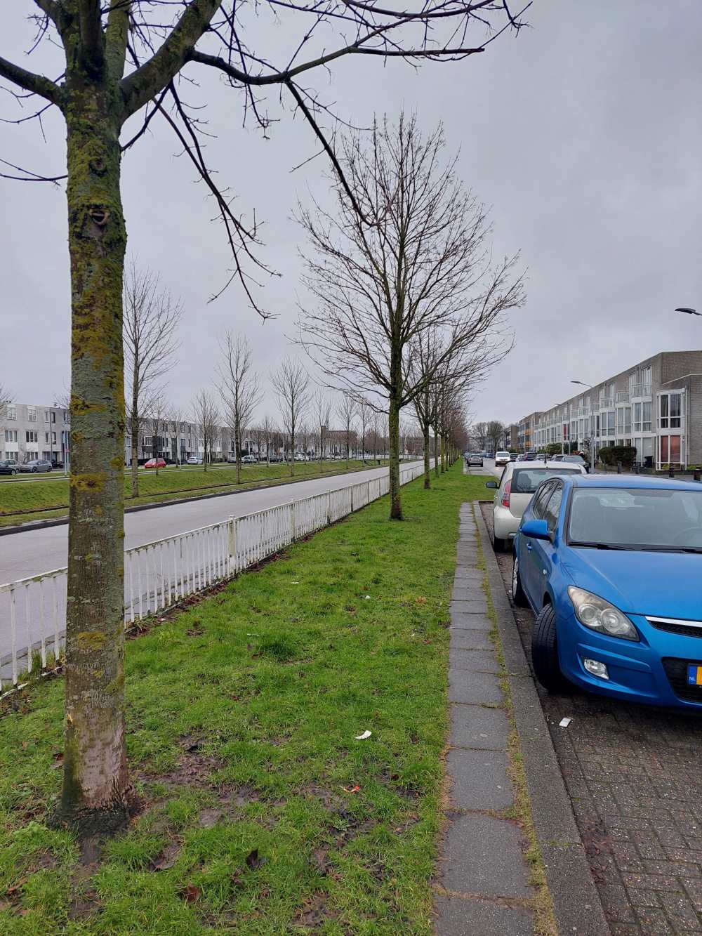 Aletta Jacobsdreef 178