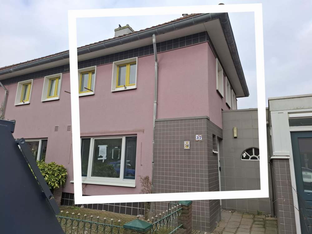 Dotterbloemstraat 37, 1032 GK Amsterdam, Nederland