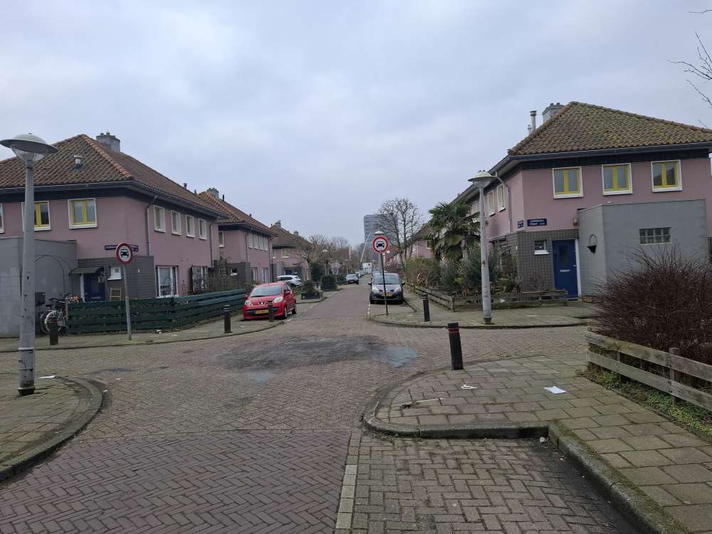 Dotterbloemstraat 37