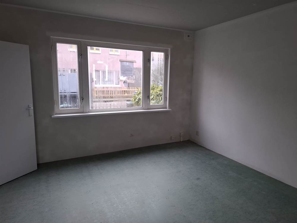 Dotterbloemstraat 37