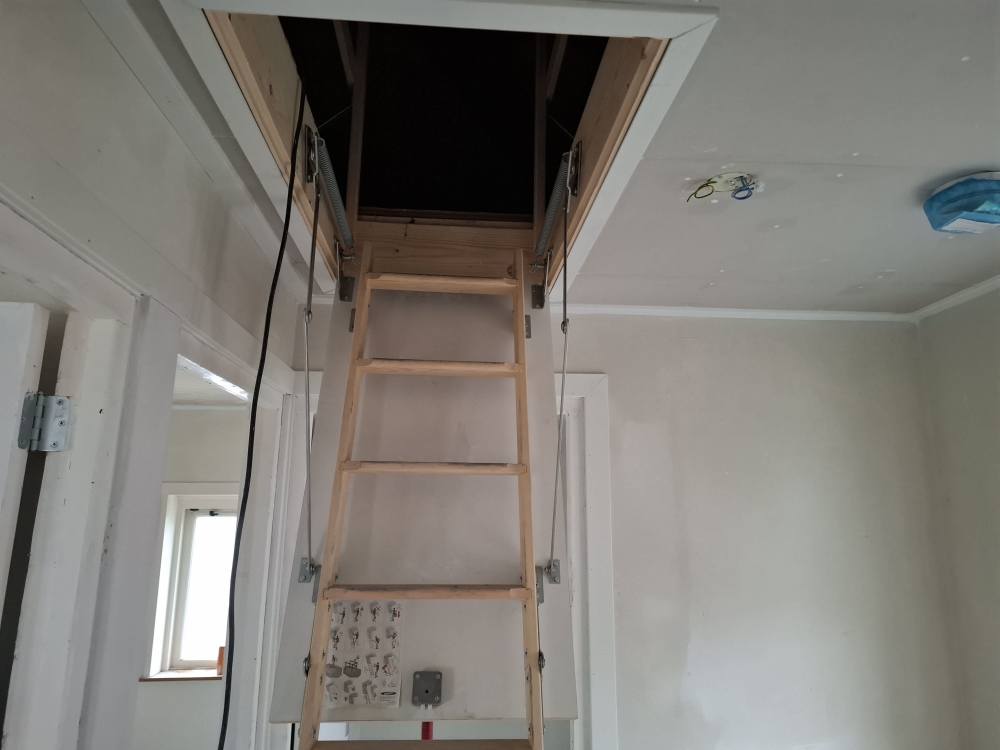 Dotterbloemstraat 37