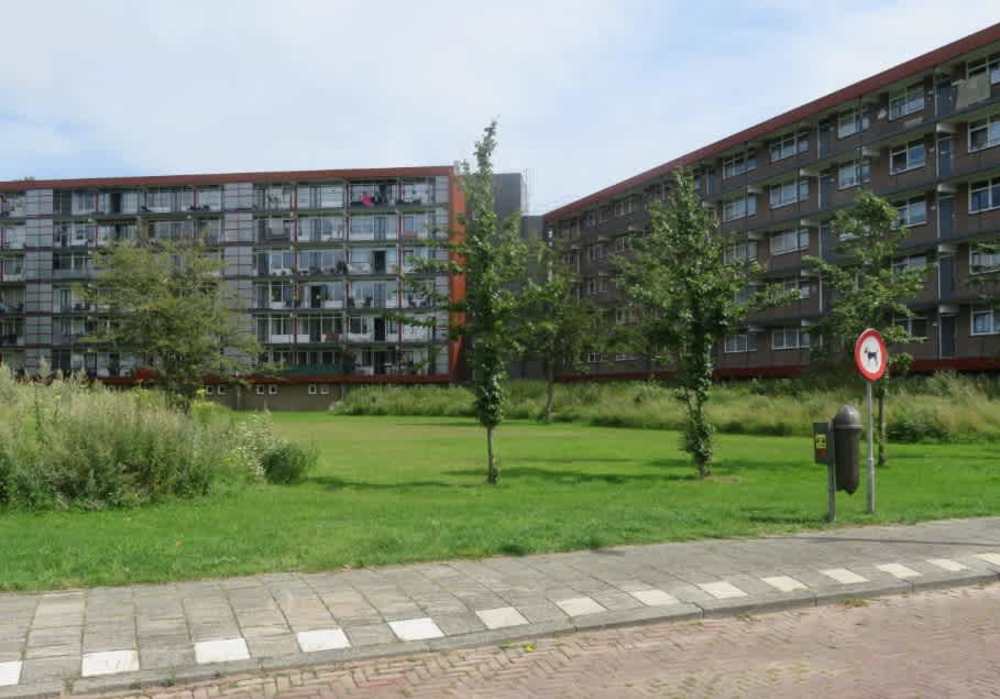 Keesomstraat 361, 2041 XN Zandvoort, Nederland