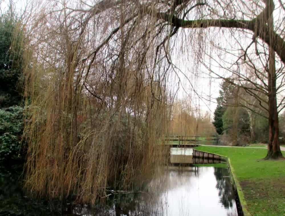 Jozef Israëlslaan 105