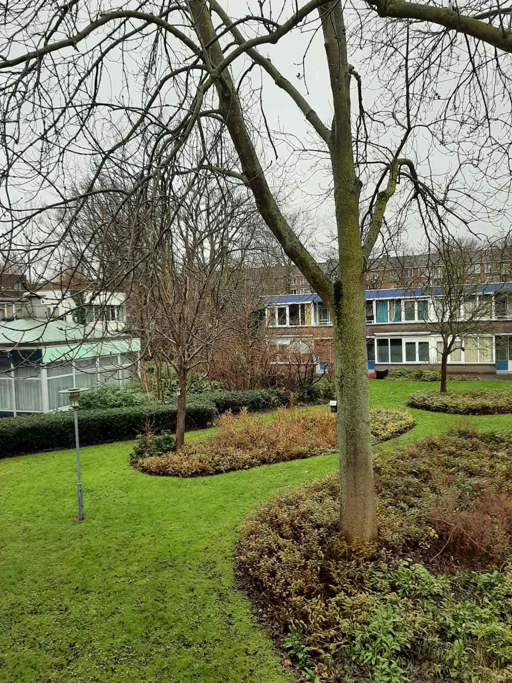 Reimerswaalstraat 45