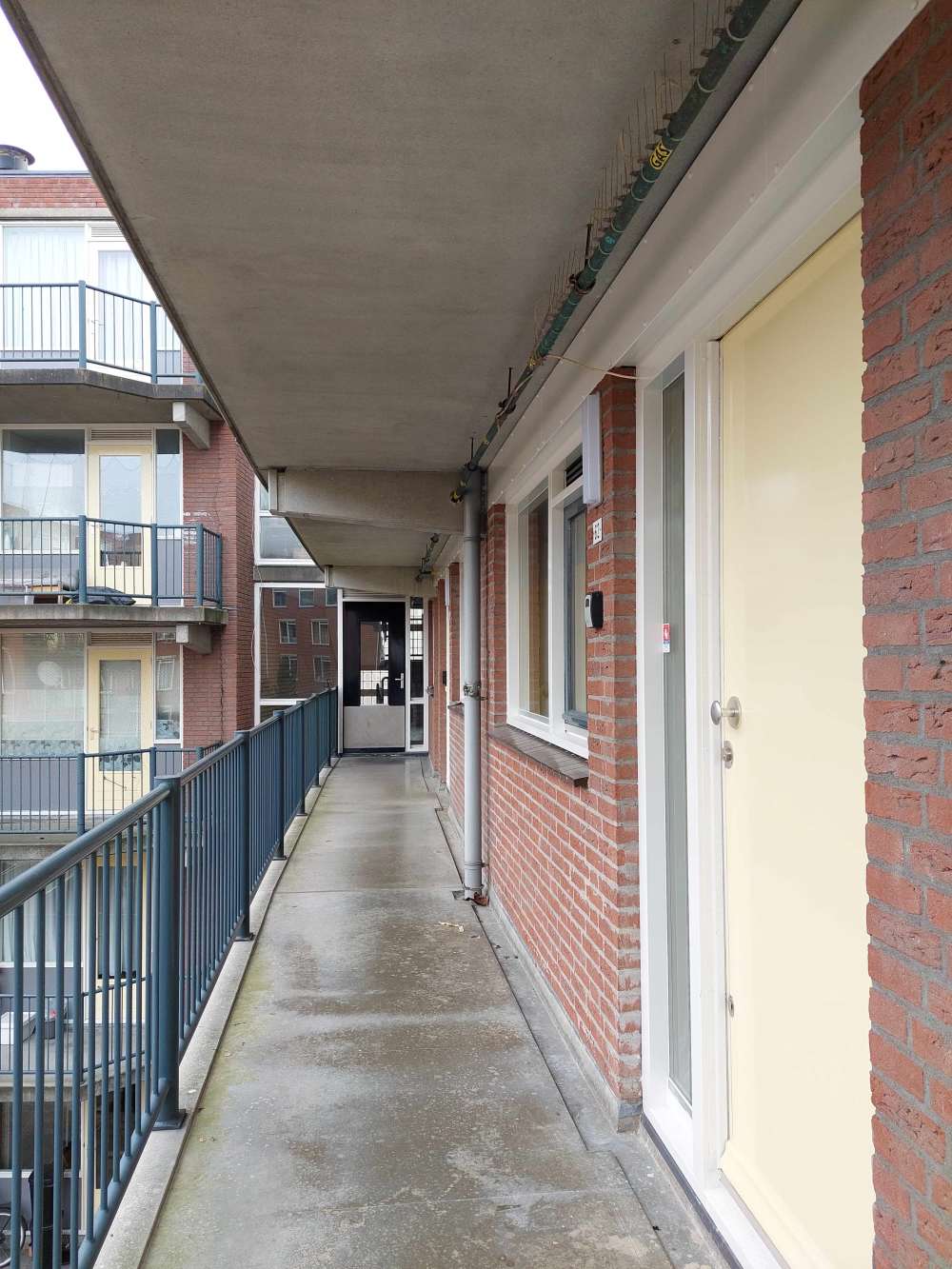 President Steynstraat 62