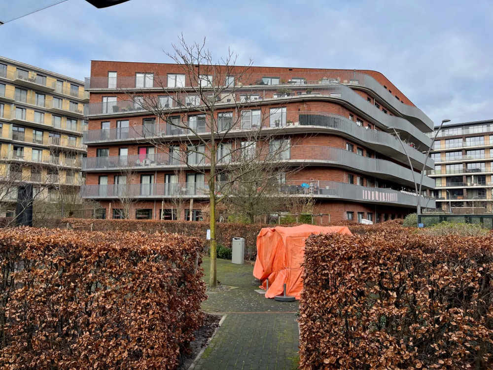 Nicolaas Tulplaan 372