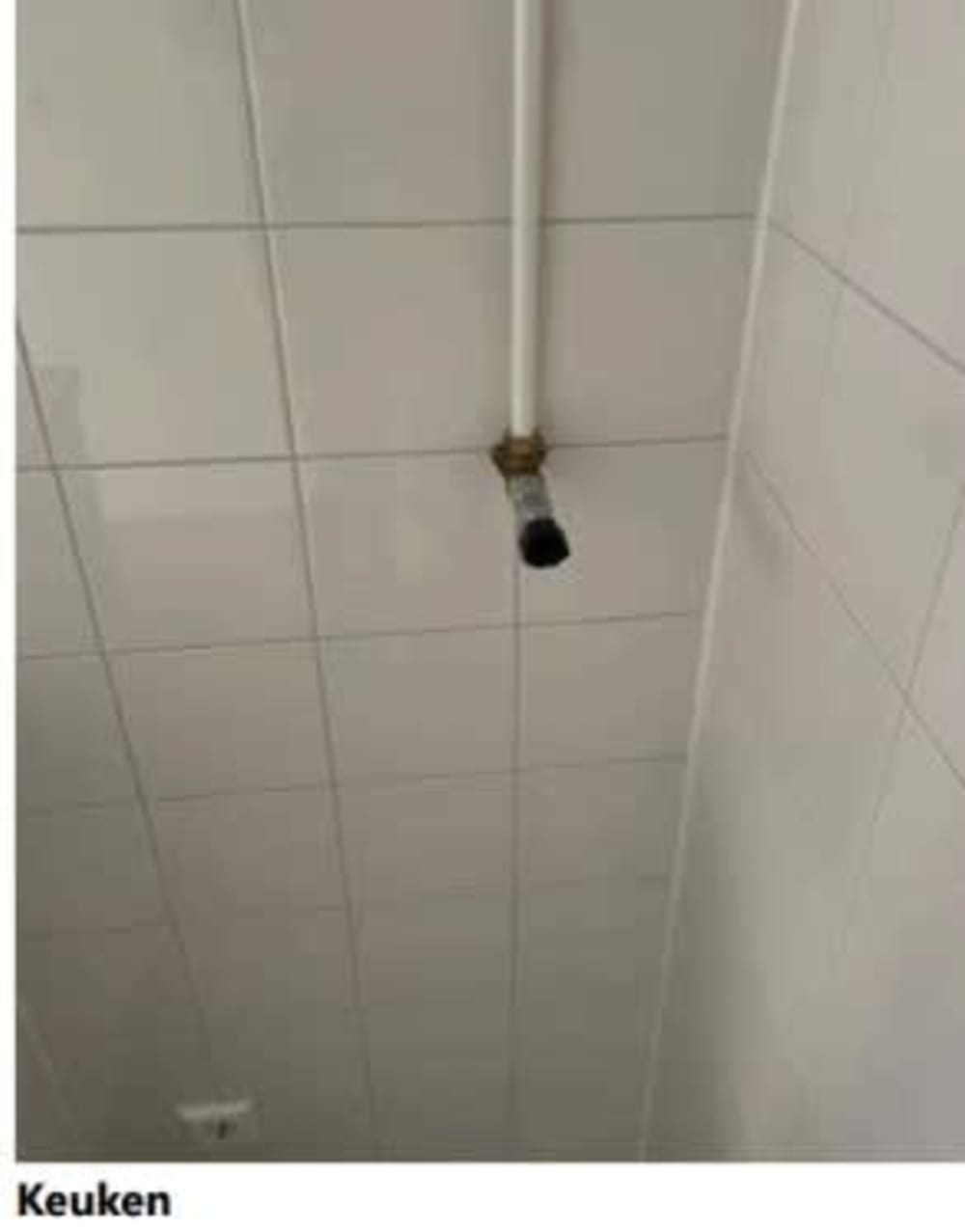 Kraijenhoffstraat 213