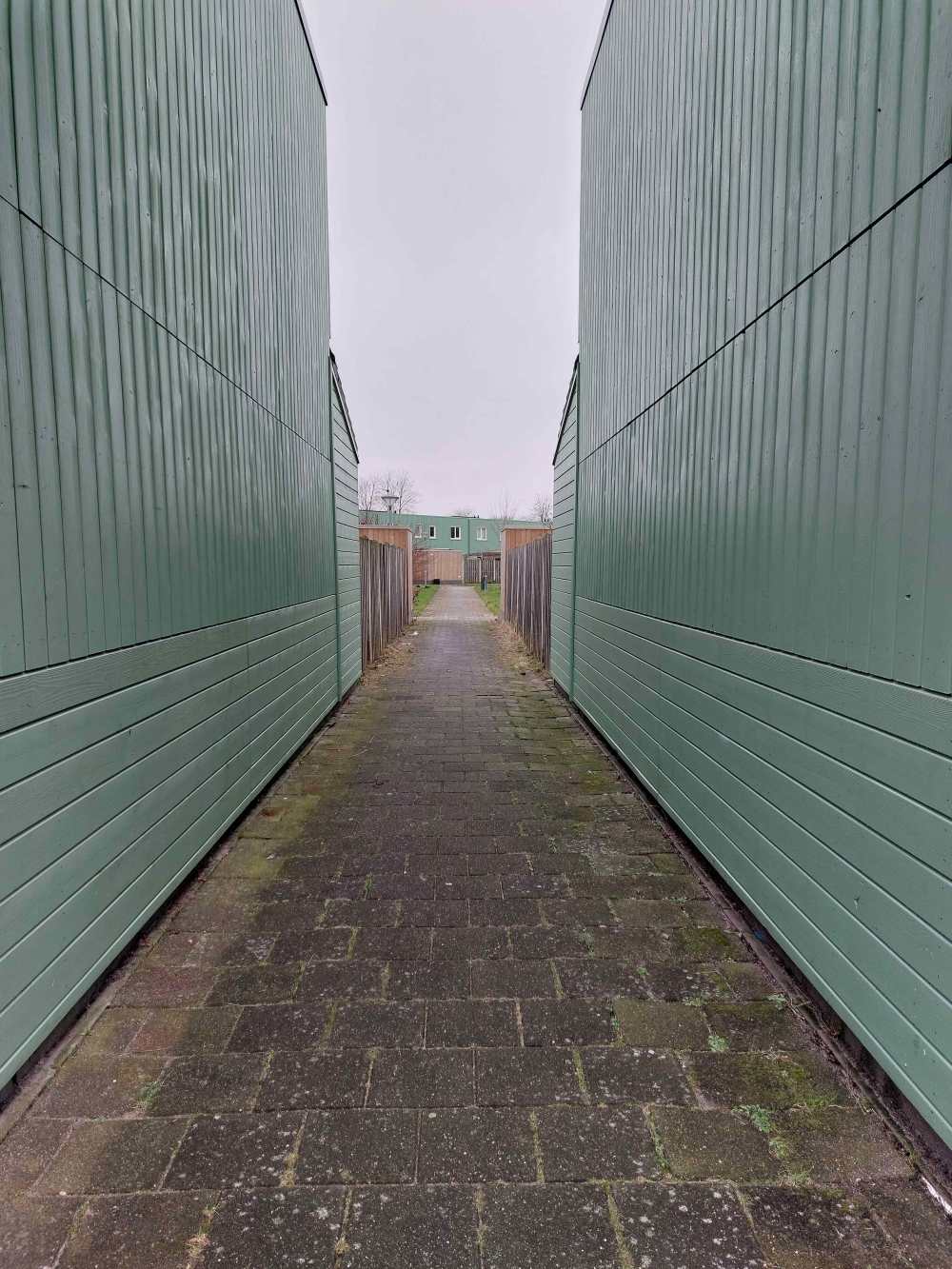 S. van Ravesteynstraat 34