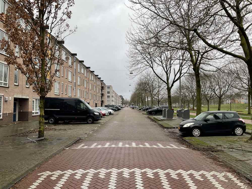 Bernard Shawsingel 342