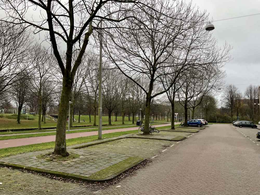 Bernard Shawsingel 342