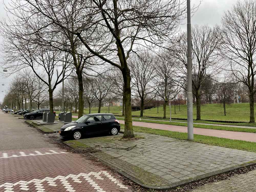 Bernard Shawsingel 342