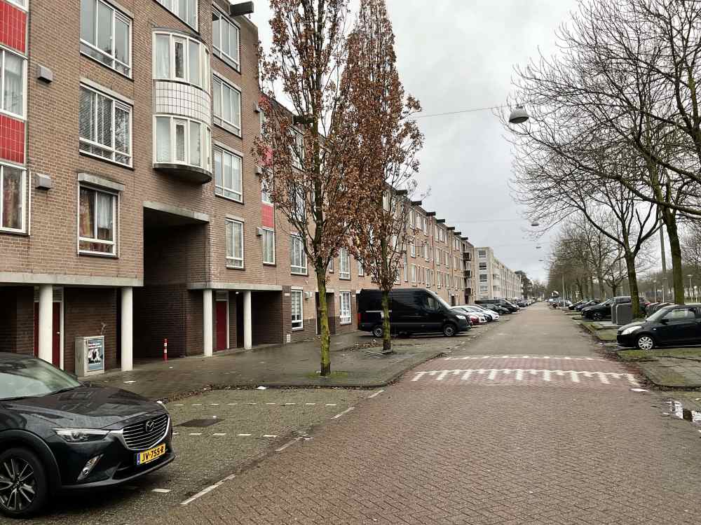 Bernard Shawsingel 342