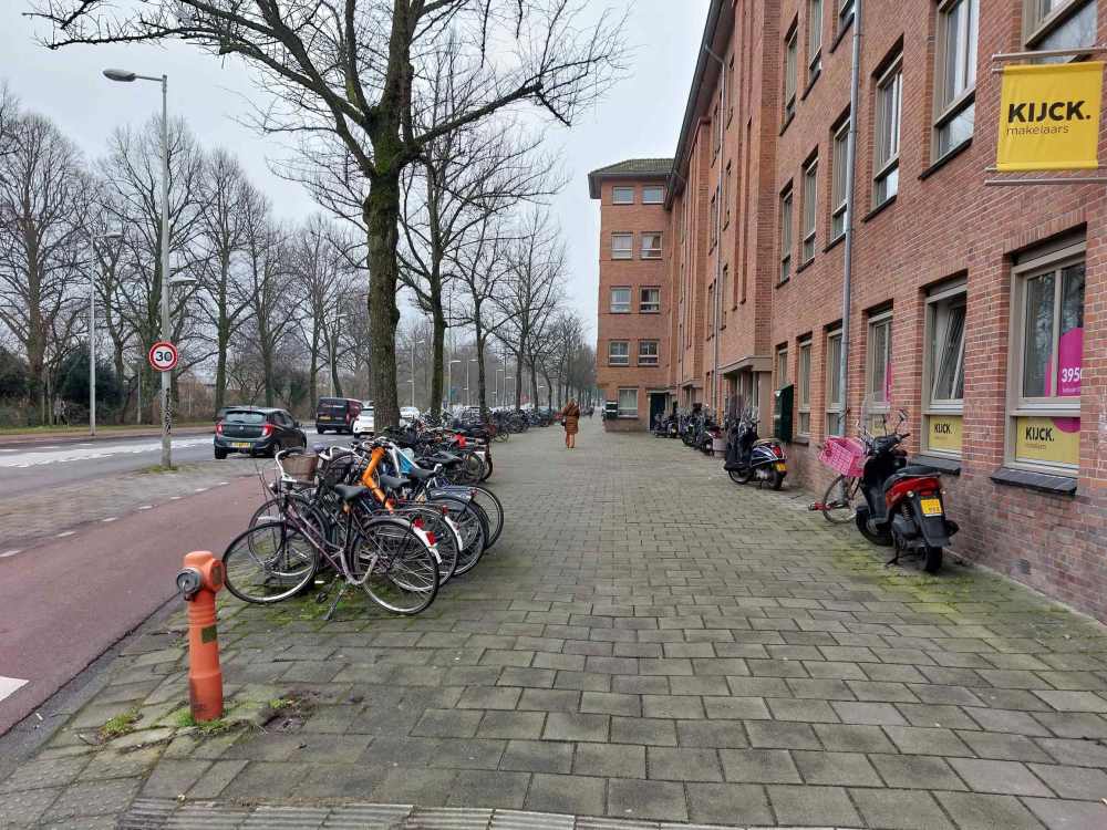 Willem de Zwijgerlaan 265HS