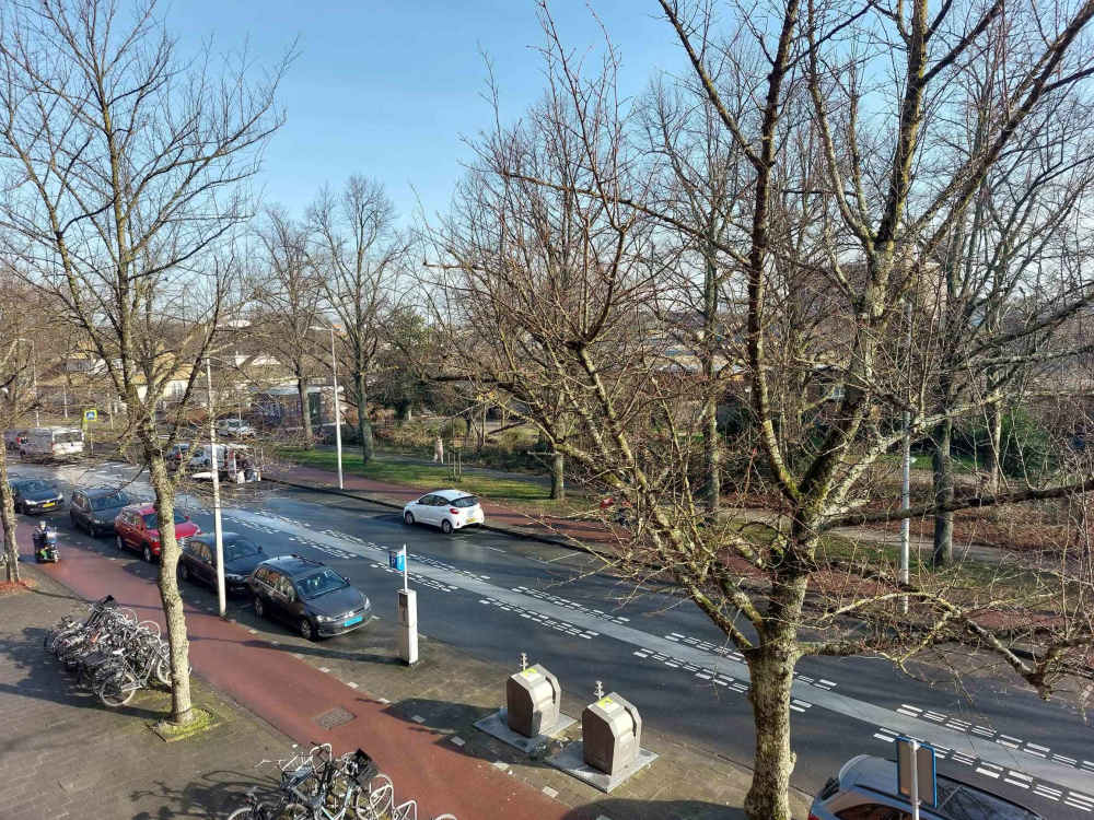 Willem de Zwijgerlaan 265HS