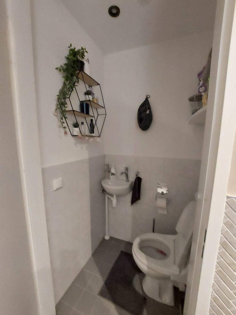 Willem de Zwijgerlaan 265HS