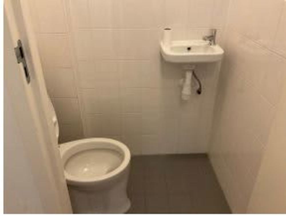 Hasebroekstraat 85III