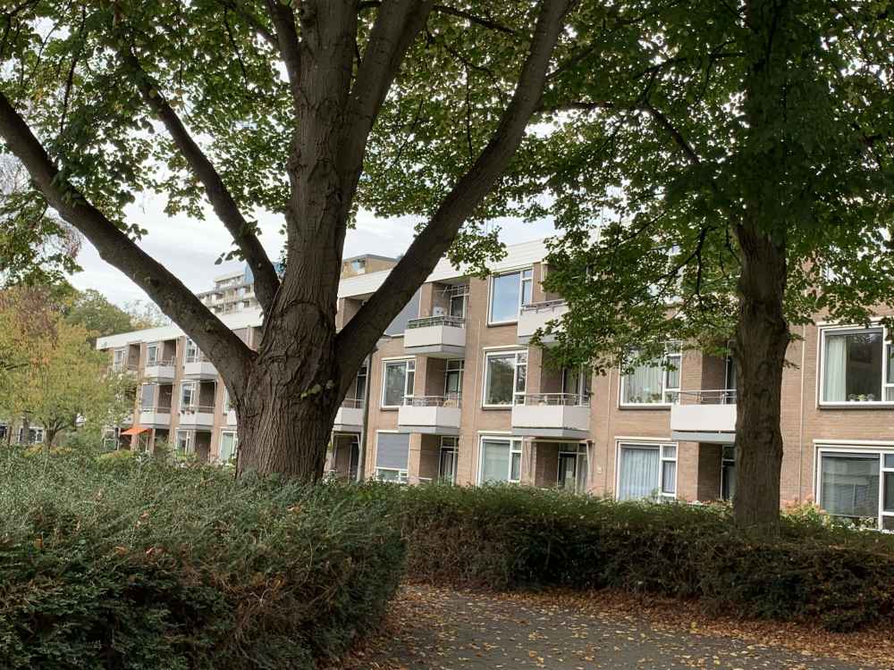Kringloop 346