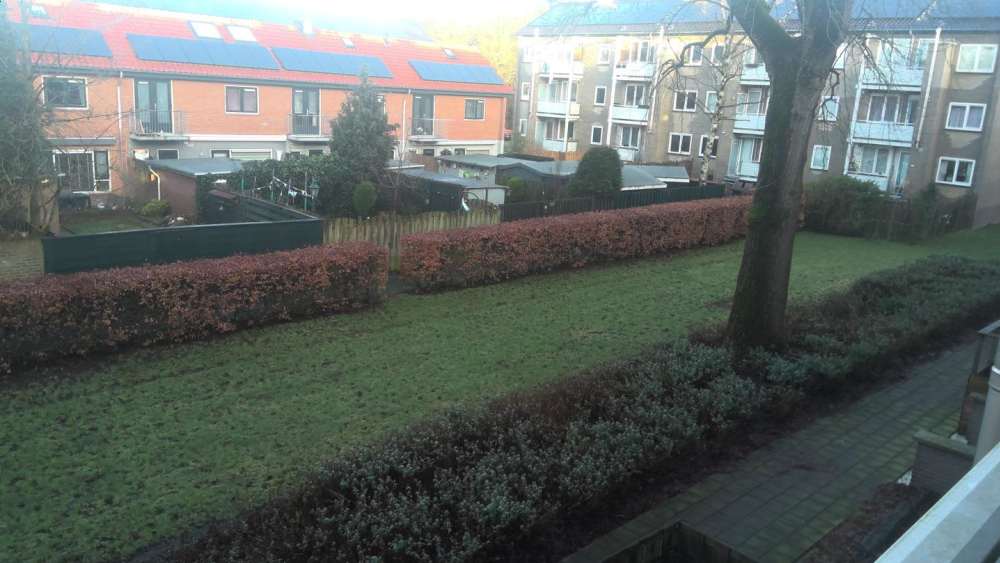 Graaf Wichmanstraat 13