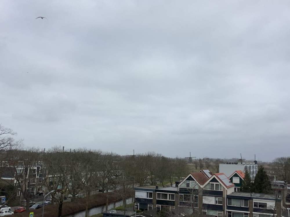 Rijnstraat 420