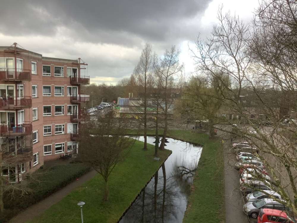 Nicolaas Beetsstraat 63