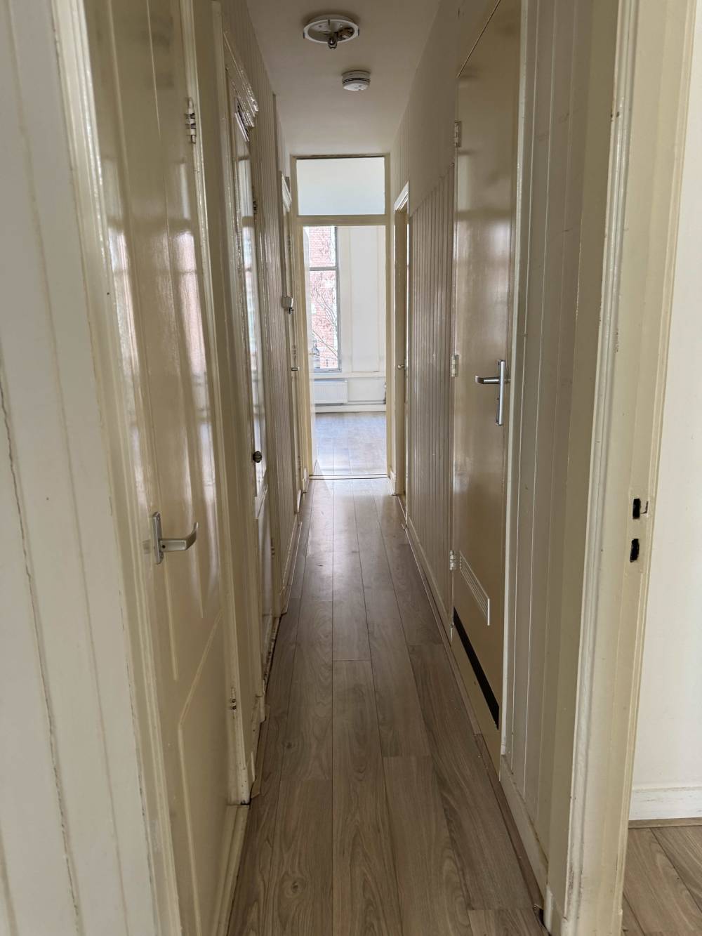 Eerste Jan Steenstraat 115