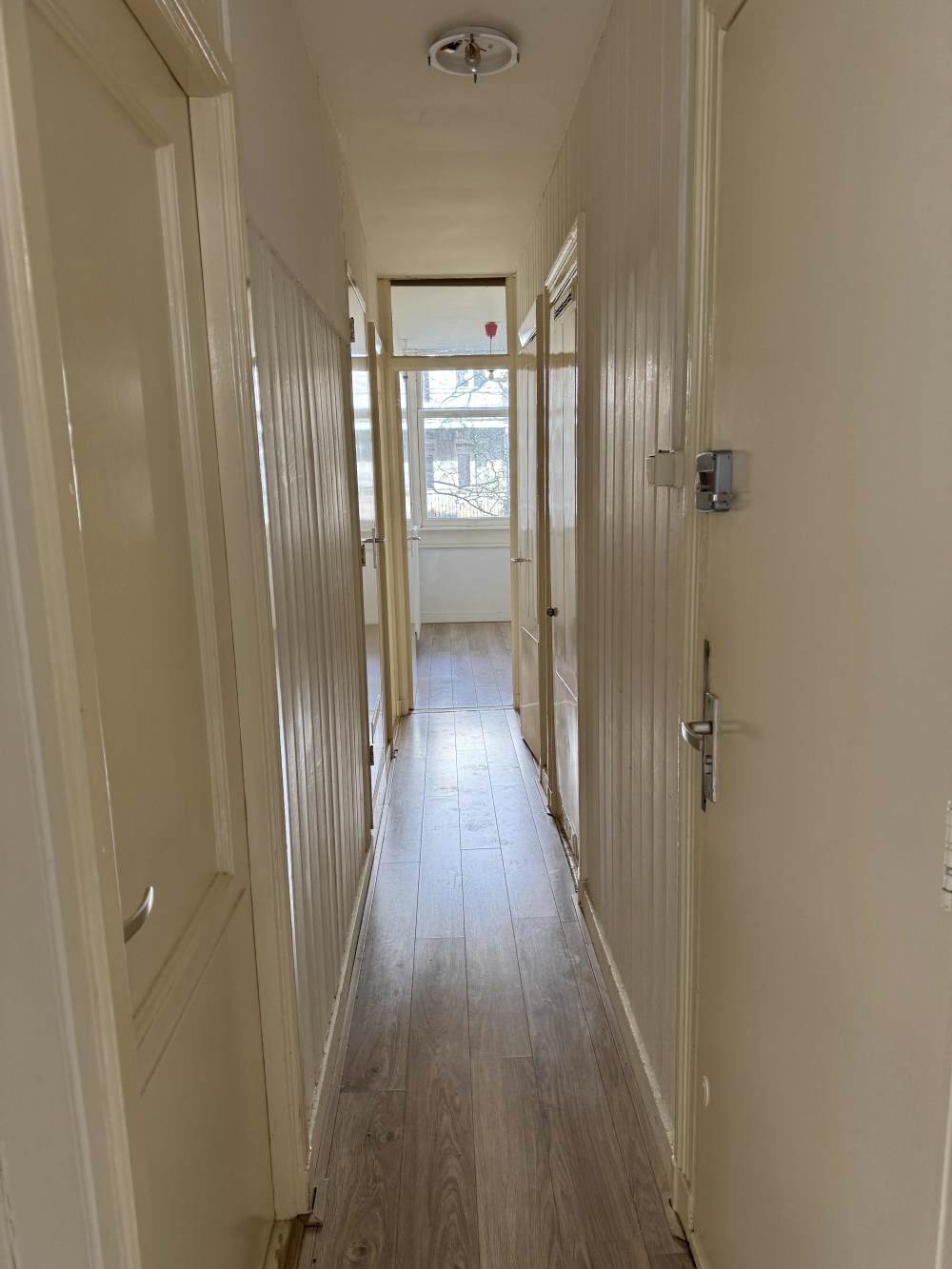 Eerste Jan Steenstraat 115