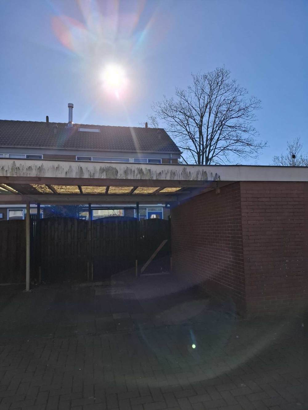 Graan voor Visch 16301